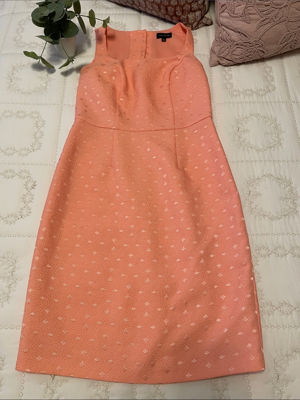 The Limited Coral Pink Textured Sheath Dress